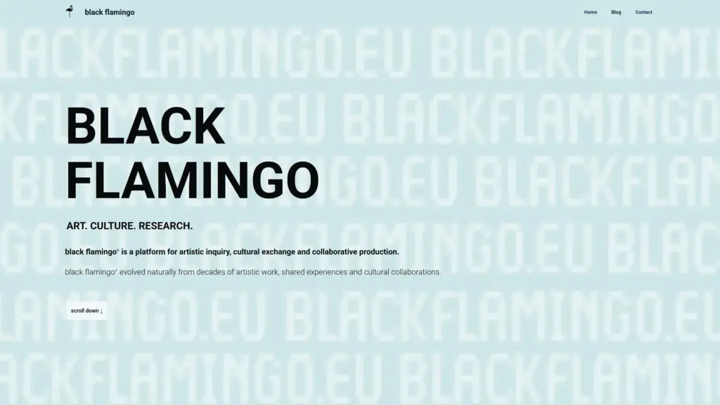 black flamingo